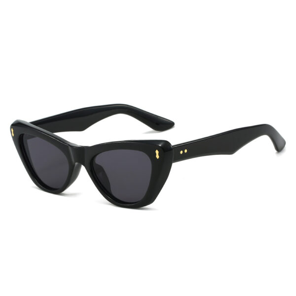 Cat eye sunglasses simple and fashionable sunglasses for women - Image 5