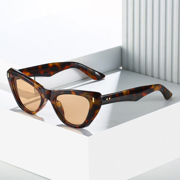 Cat eye sunglasses simple and fashionable sunglasses for women - Image 2