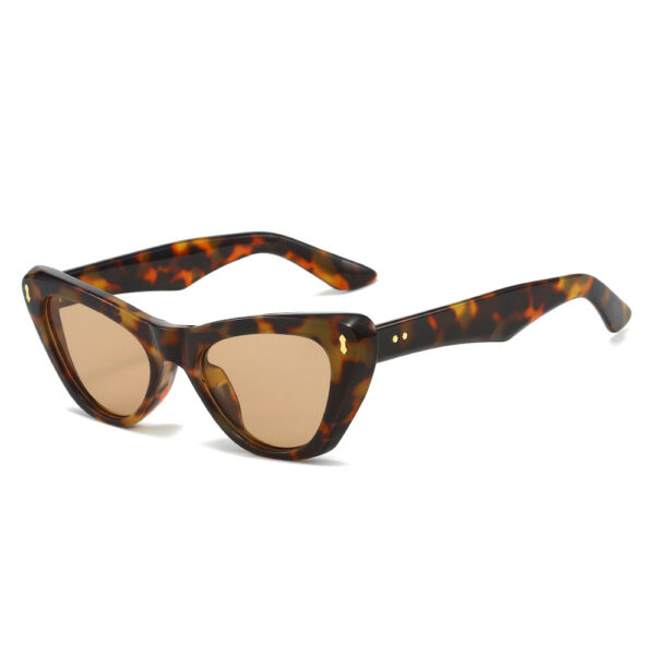Cat eye sunglasses simple and fashionable sunglasses for women - Image 9