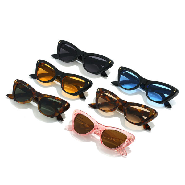 Cat eye sunglasses simple and fashionable sunglasses for women