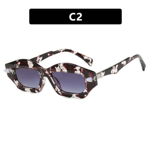 Irregular small frame sunglasses, high-end fashion show sunglasses, versatile, trendy, modern and fashionable sunglasses for women - Image 7