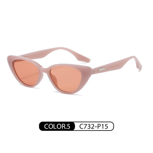 New Personalized Sunglasses for Women, European and American Trendy Cat Eye Sunglasses - Image 5